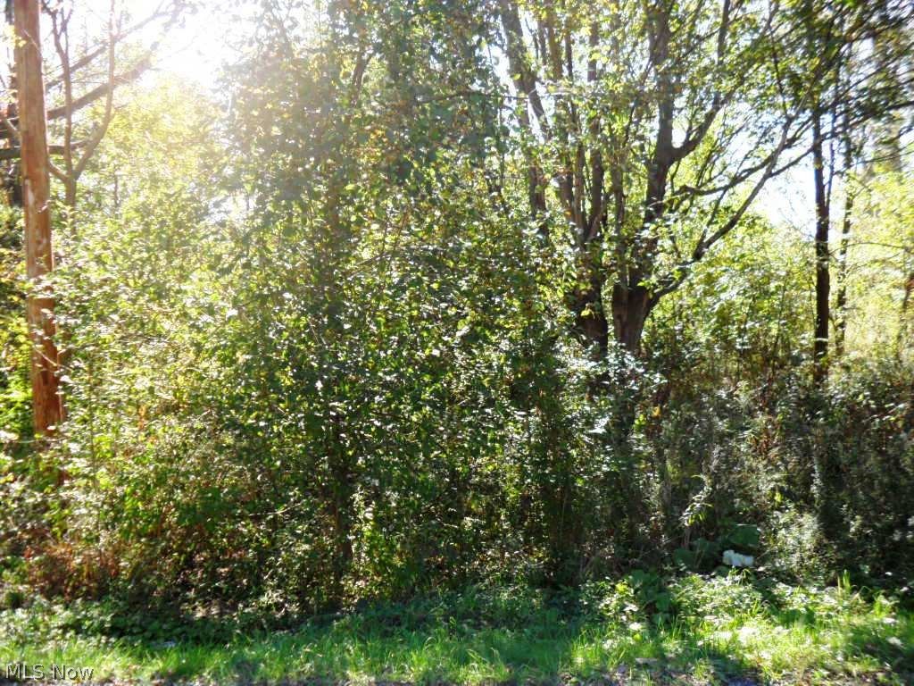 Lovely wooded lot in Ravenna Township. Public water & public sewer are available. Lot is 0.448 acre (150X130). Convenient location to hospital , restaurants, shopping, & Routes 14,5, 44, 76, & 303. Buyer is responsible for dual diligence inquiry of all property information contained herein and property suitability for buyers intended purpose. See pictures for Tax map from Portage County Tax Map Department.