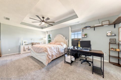 Tiny photo for 317 Garfield Drive, LaGrange, OH 44050 (MLS # 5253841)