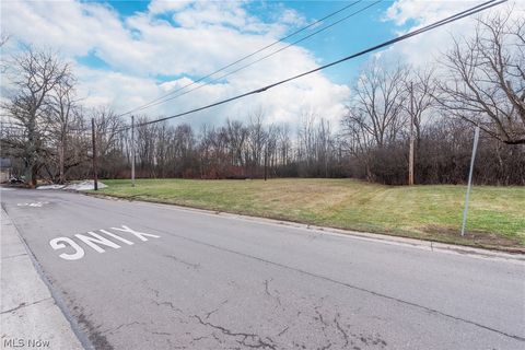 Tiny photo for S Park Street, Oberlin, OH 44074 (MLS # 5187891)