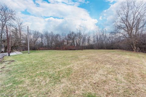 Tiny photo for S Park Street, Oberlin, OH 44074 (MLS # 5187891)