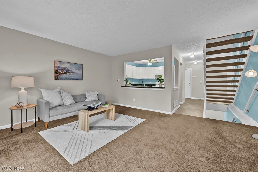 833 Overlook Ridge Drive
