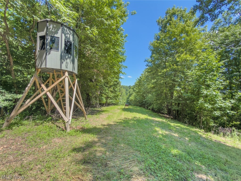 6985 Brush Run Road