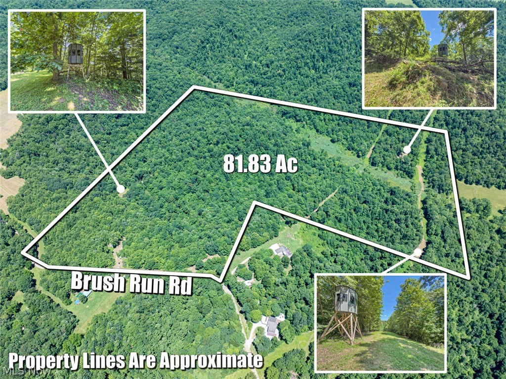 6985 Brush Run Road