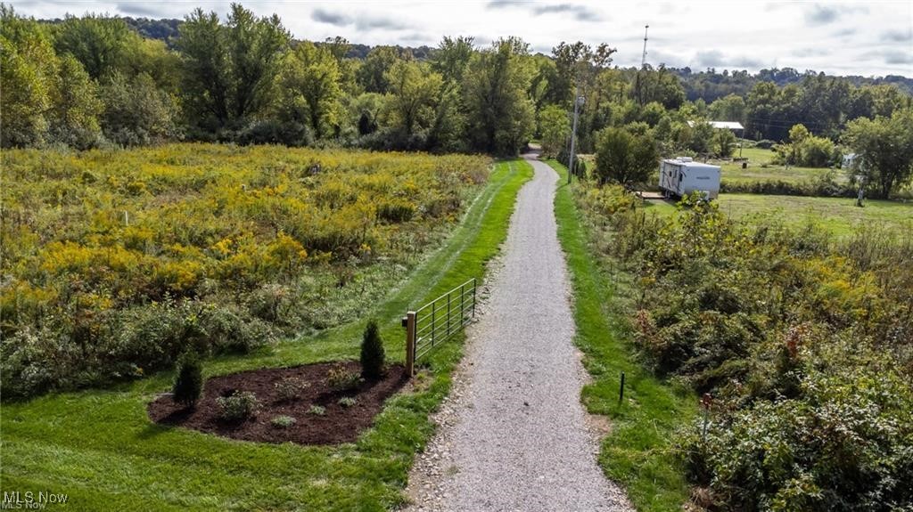 Z Hill Road, Sardis, Ohio image 14