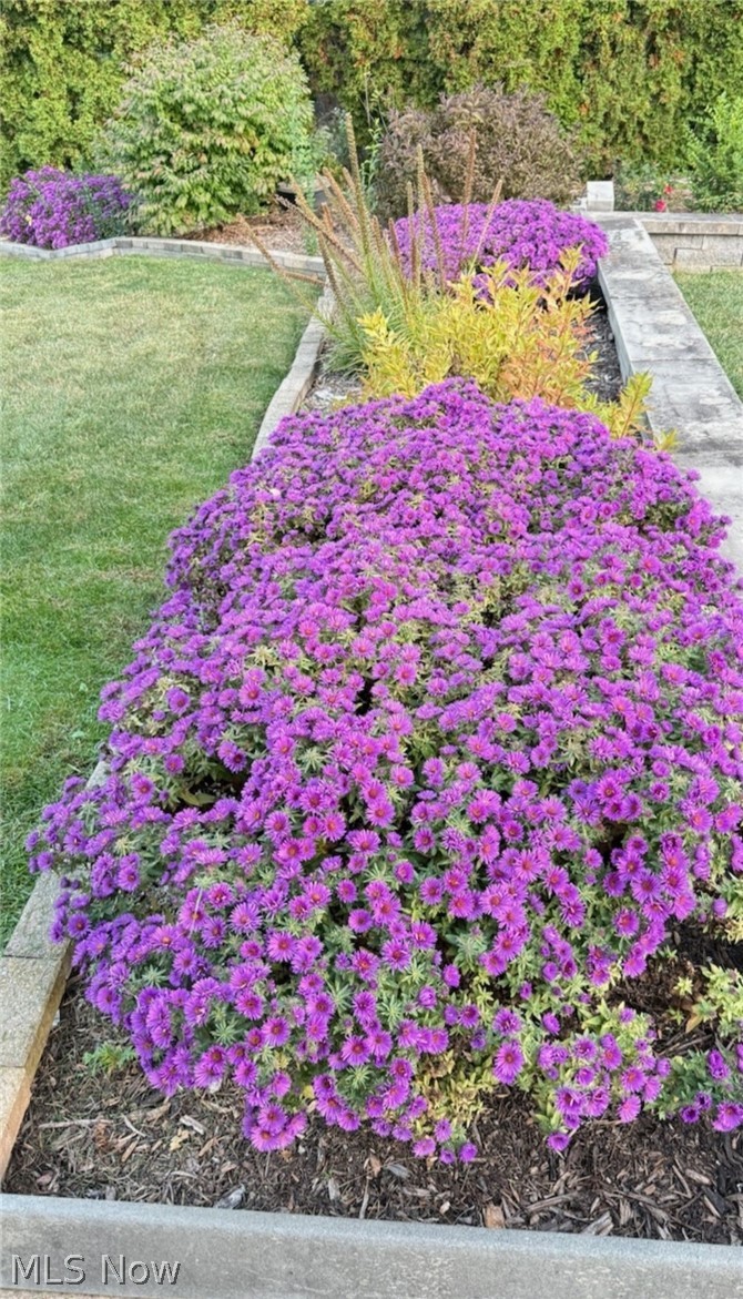 Amherst - Residential