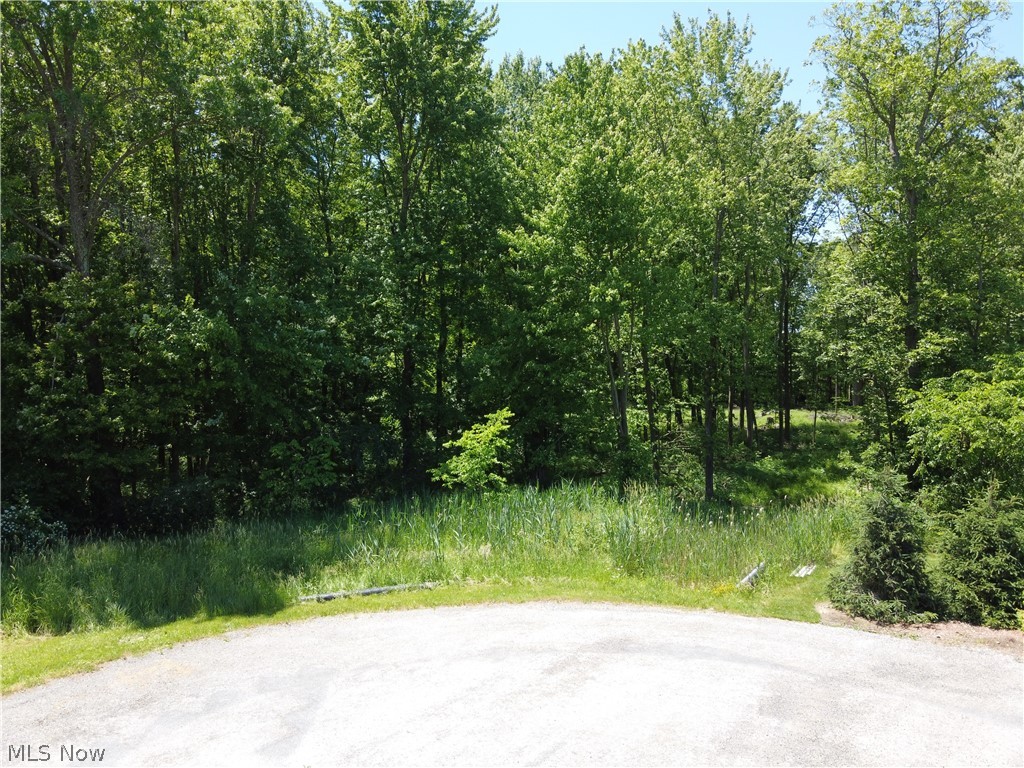 Bring your builder and build your dream home on this wonderful piece of property that is nearly 3 acres of wooded property at the end of a cul-de-sac. This development has beautiful homes throughout. The seller has already cleared some trees for development and has building plans that they will share with an acceptable offer. Call for more information.