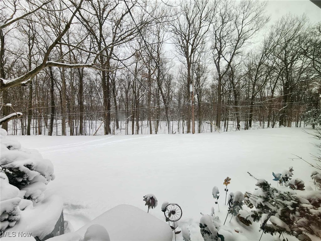 Carriage Hill Condo - Residential Lease