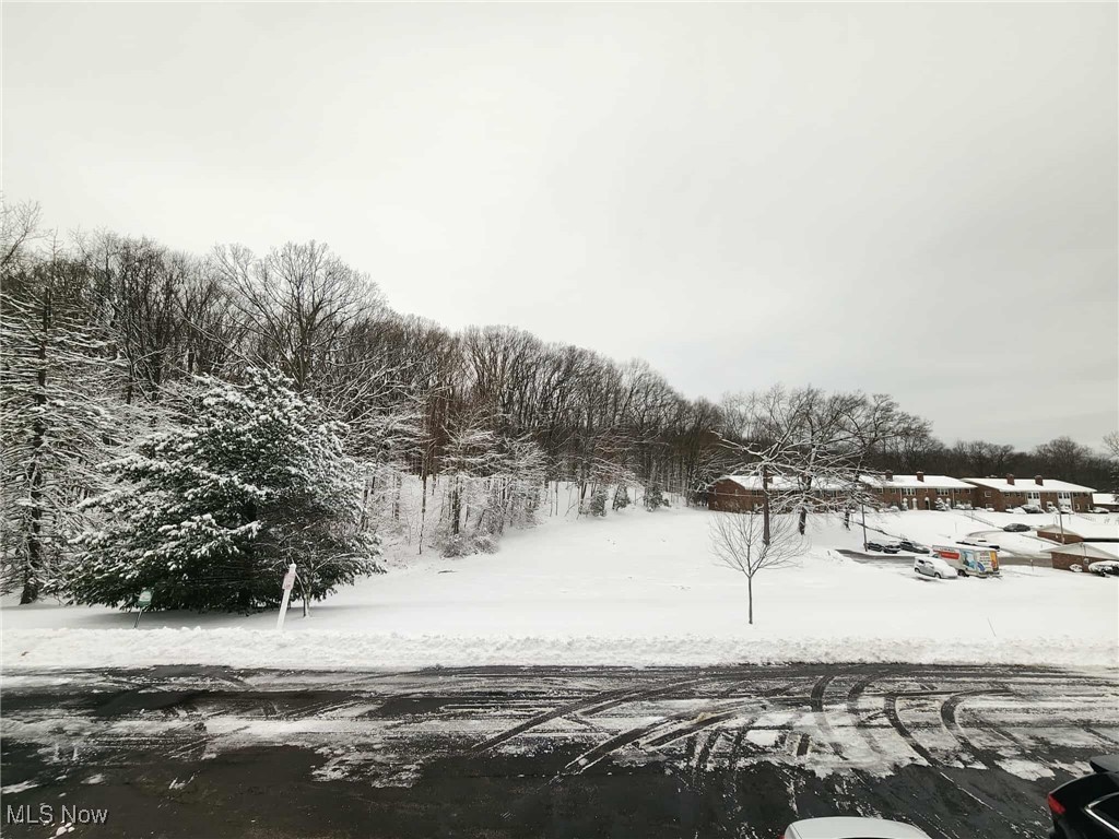 Carriage Hill Condo - Residential Lease