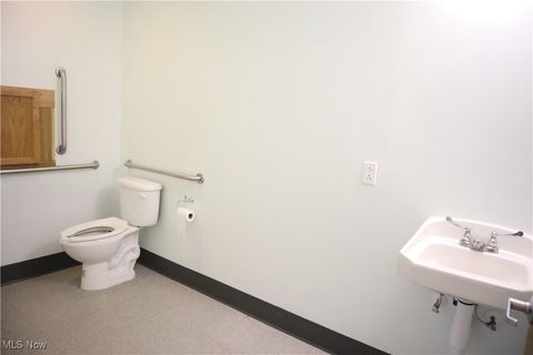 Tiny photo for 56 S Walnut Street, East Palestine, OH 44413 (MLS # 5124640)