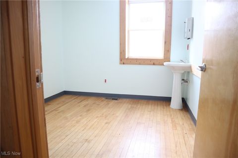 Tiny photo for 56 S Walnut Street, East Palestine, OH 44413 (MLS # 5124640)