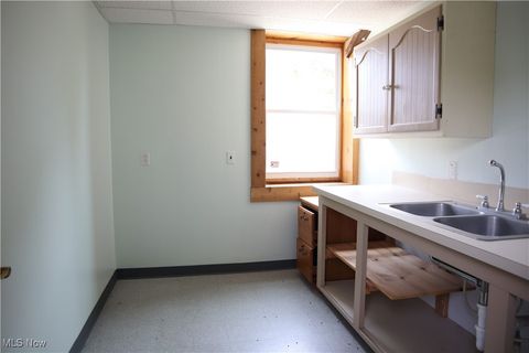 Tiny photo for 56 S Walnut Street, East Palestine, OH 44413 (MLS # 5124640)