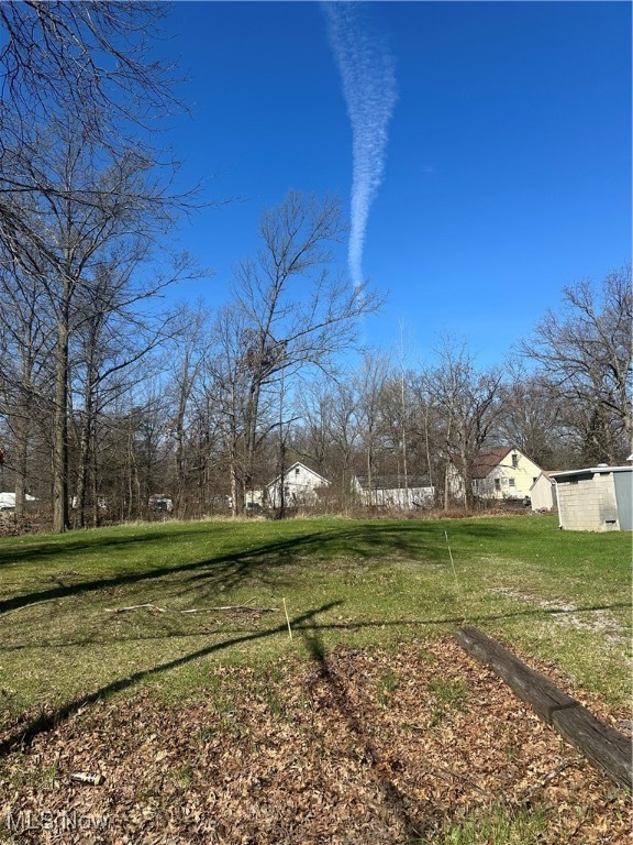 Pearl Ave, Lorain, Ohio image 2