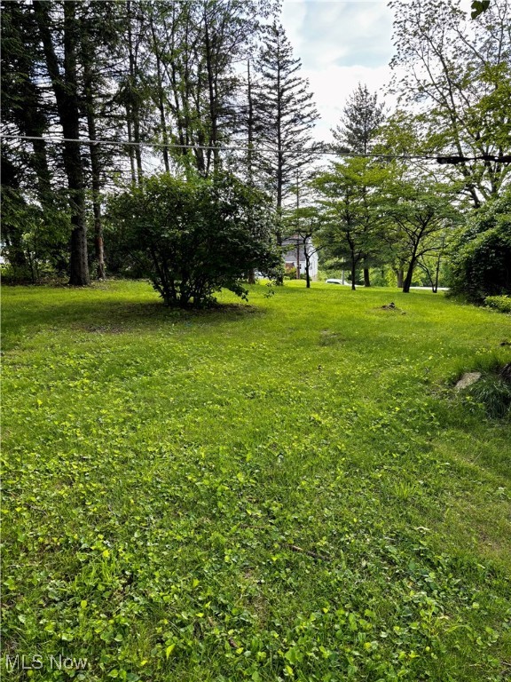 168 Canton Road, Wintersville, Ohio image 7