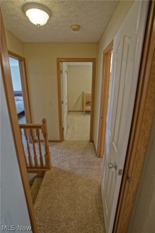 Lake Erie Shores - Residential