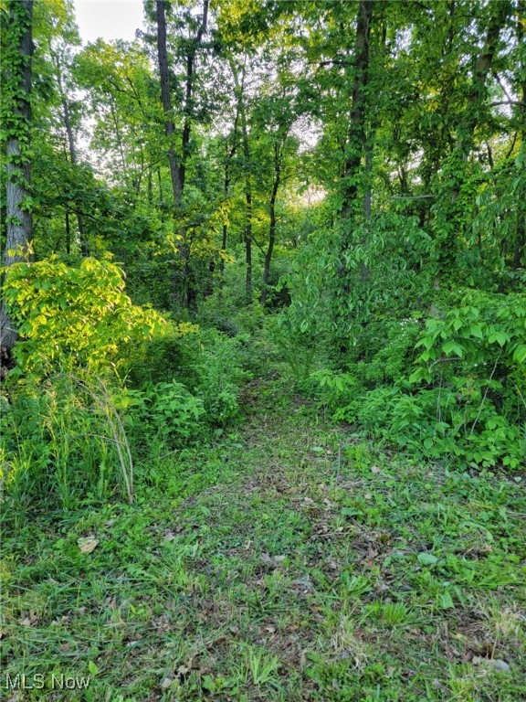 Gable Road, West Salem, Ohio image 6