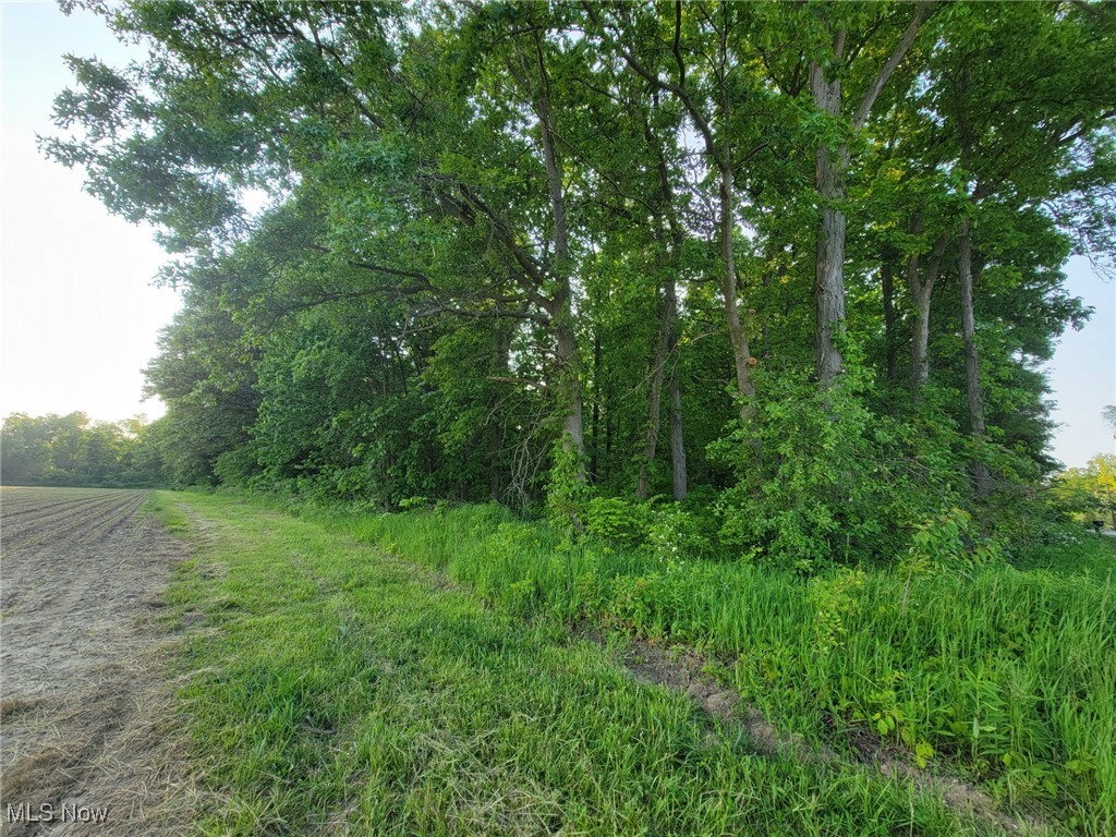 Gable Road, West Salem, Ohio image 5