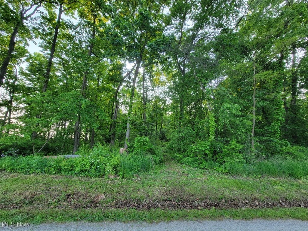 Gable Road, West Salem, Ohio image 2