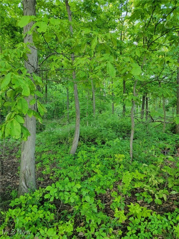 Gable Road, West Salem, Ohio image 4