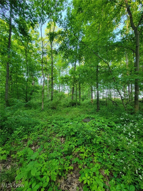 Gable Road, West Salem, Ohio image 3