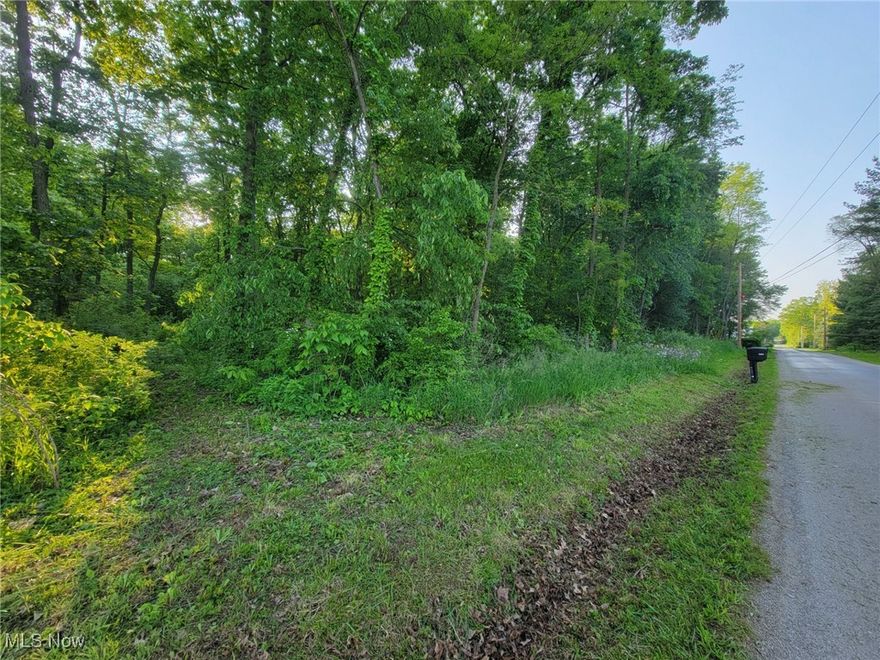 Looking for a beautifully wooded lot to build on in the Northwestern Local School District? Here it is! A bit over 2 acres on a quiet road (Gable Road), about a mile from the schools. Five minutes to I-71! Country setting! Mature trees
throughout the property