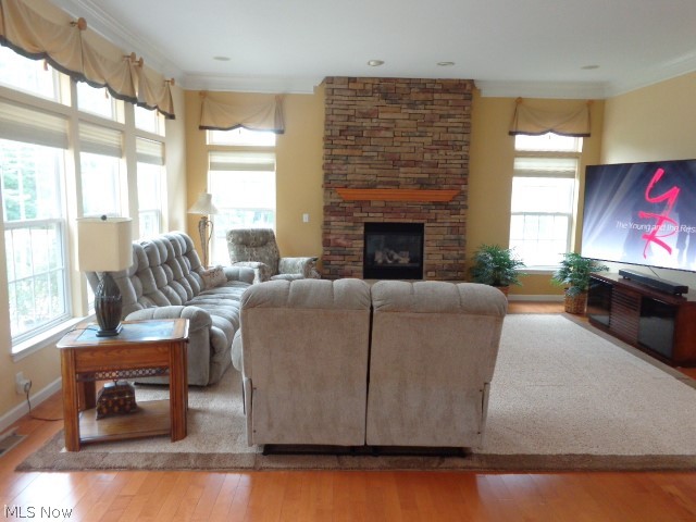 Glencairn Forest-The Woods - Residential