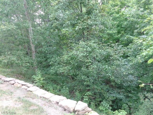 Glencairn Forest-The Woods - Residential