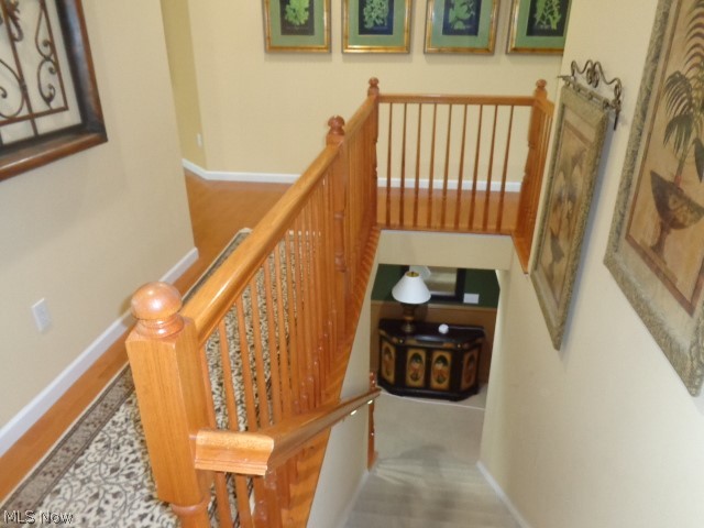 Glencairn Forest-The Woods - Residential