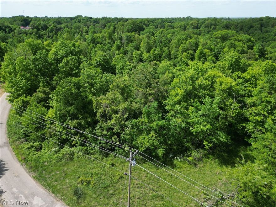 Located in Franklin LSD, over 7.7 acres to use for hunting or to build your dream home on too! Public water is available and the tap-in fee has already been paid too! All mineral rights that the seller owns will convey! There is a stream on the property. If you are a hunter, you will love the deer and turkey that are in the area! Call today to schedule a showing! Please do not walk the property without an agent present.