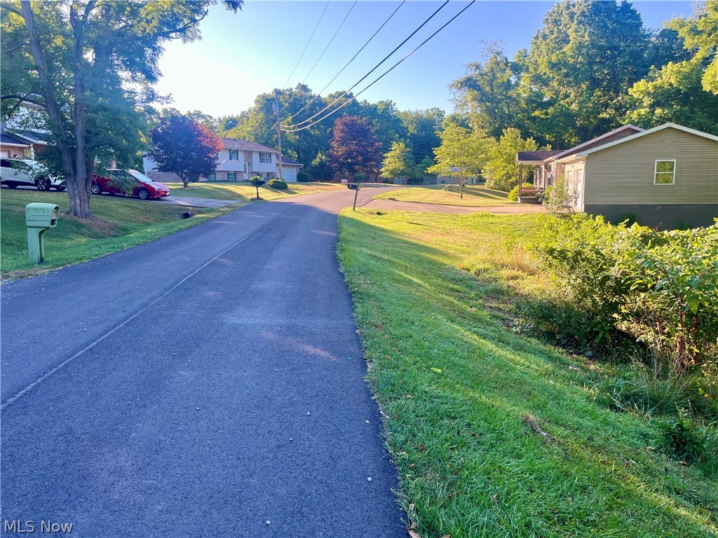 Teri Lane, Little Hocking, Ohio image 9