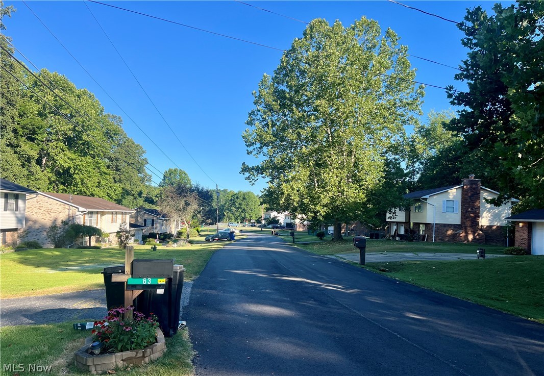 Teri Lane, Little Hocking, Ohio image 8