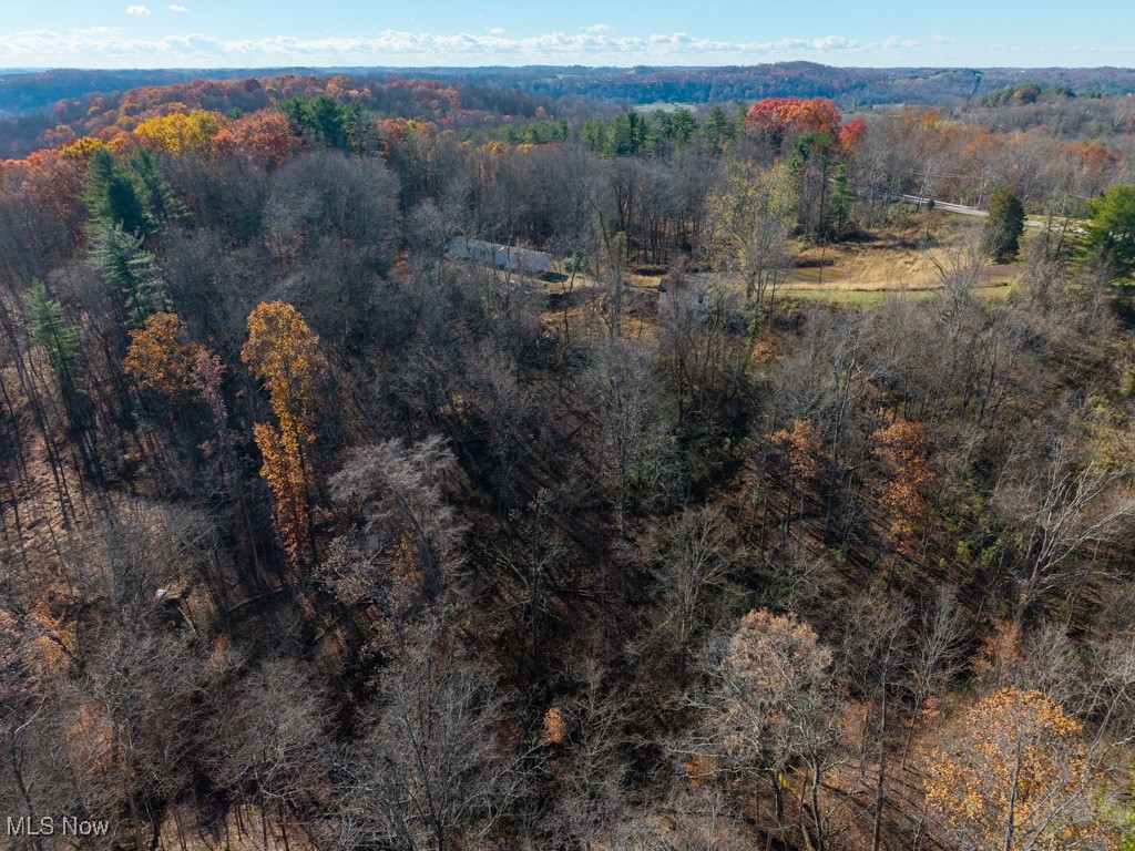 Bear Crk Allotment - Land