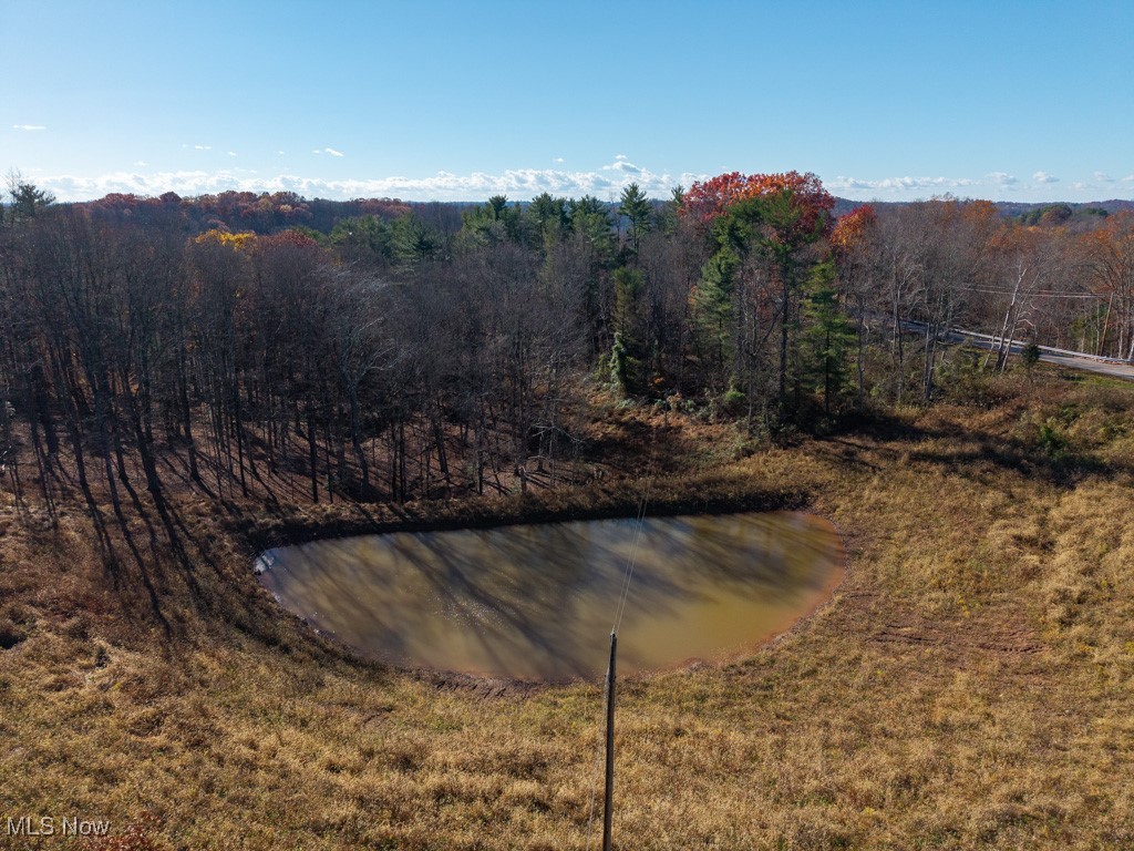 Bear Crk Allotment - Land
