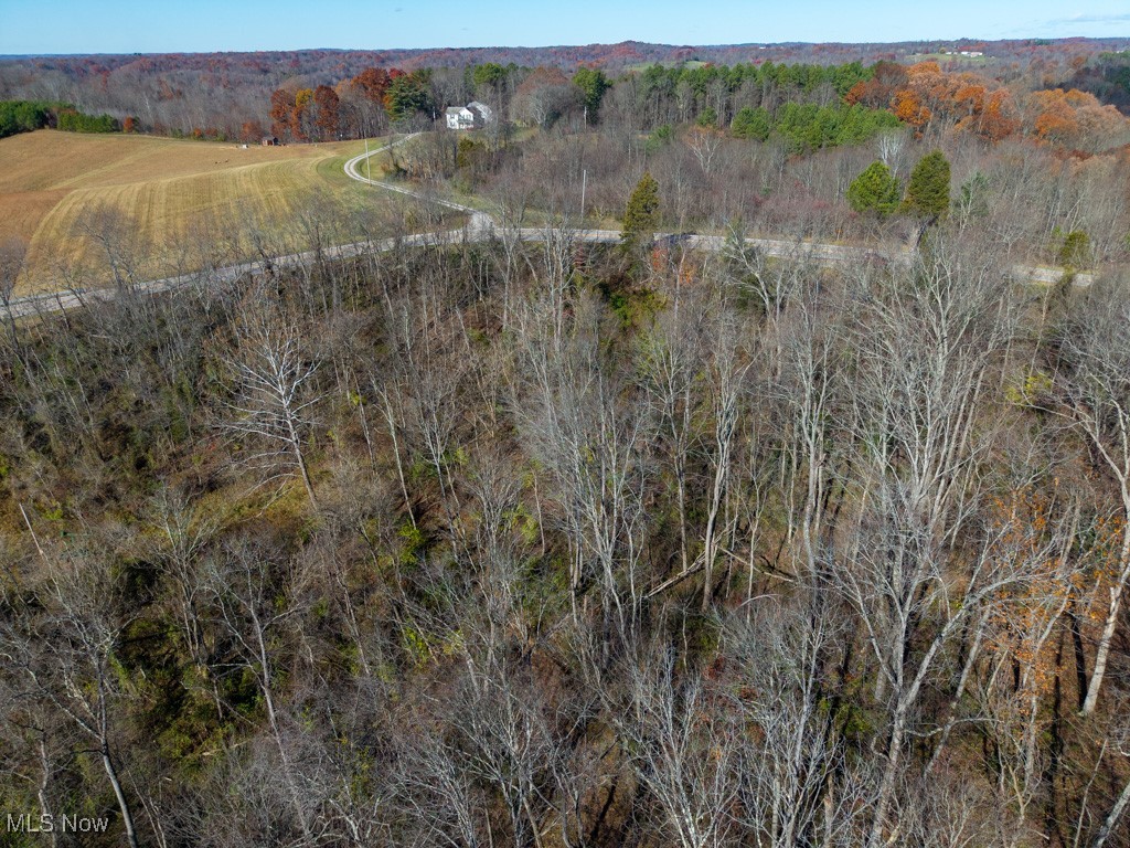 Bear Crk Allotment - Land