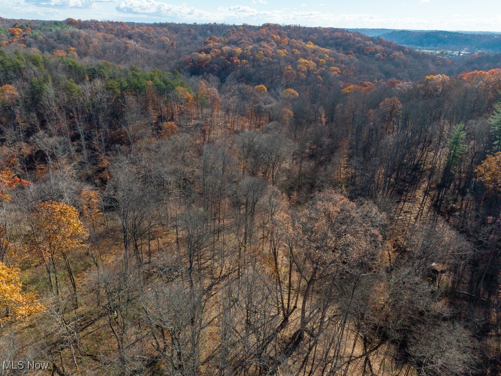 Bear Crk Allotment - Land