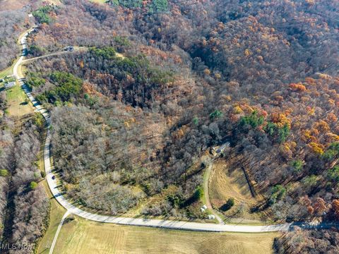 Vacant Land For Sale - State Route 530<br/> Lowell, OH 45744