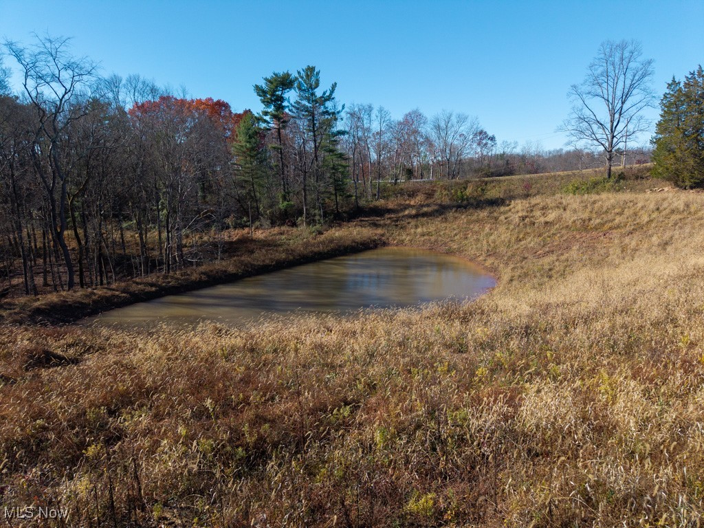Bear Crk Allotment - Land