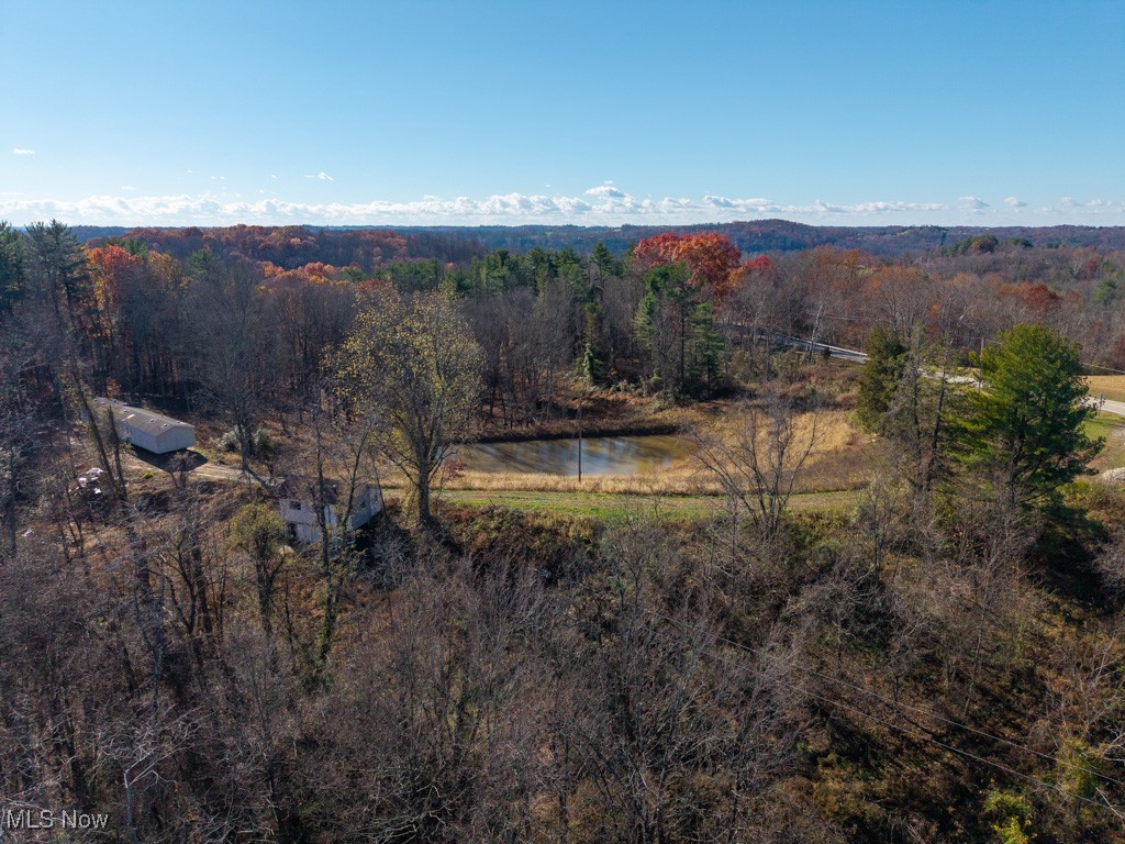 Bear Crk Allotment - Land
