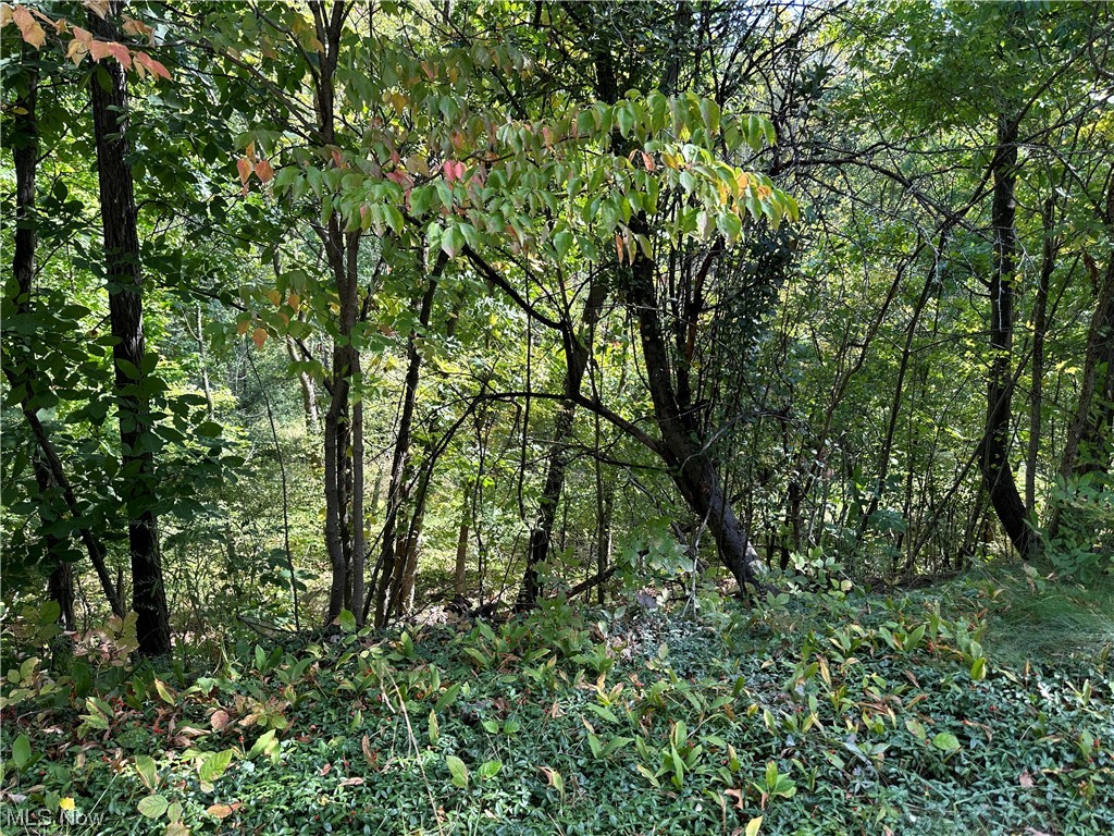 Heather Woods Condo - Residential