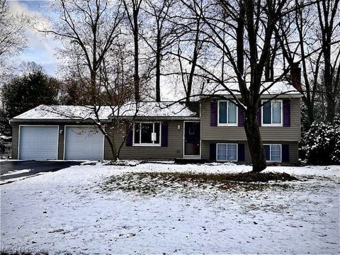 Homes For Sale - 7666 Micawber Rd<br/> Trumbull County, Warren, OH 44484