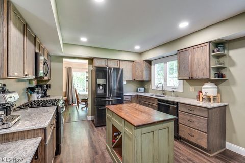 Tiny photo for 339 S Park Drive, Aurora, OH 44202 (MLS # 5216821)