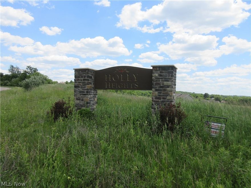Nice location In Holly Heights. Excellent building site with city utilities. 97 X 122 level lot. Tusky Valley Schools. Build your dream home!