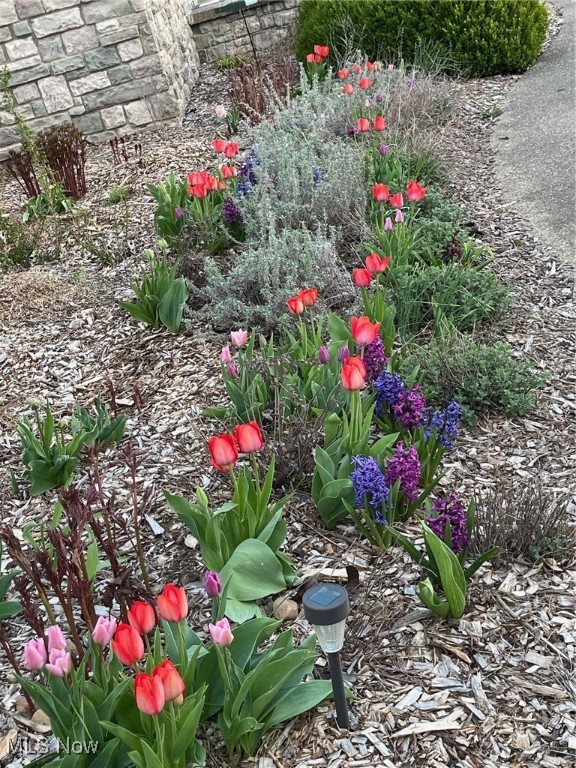 Wittmer Country Estates - Residential