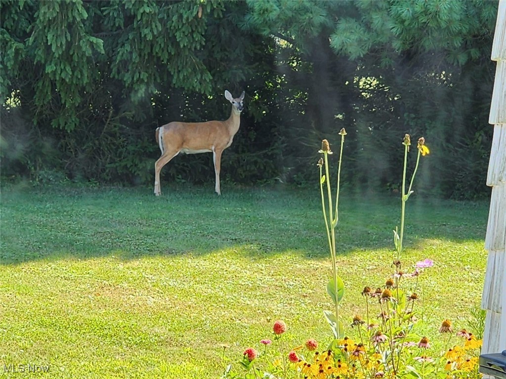 Wittmer Country Estates - Residential