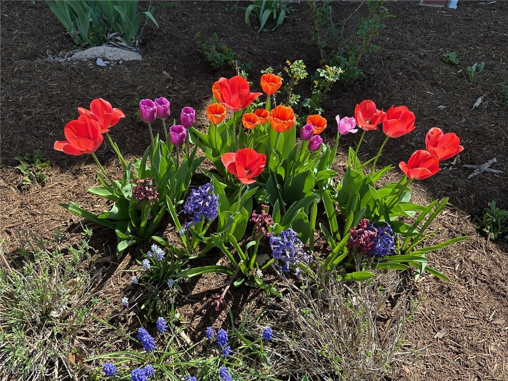 Wittmer Country Estates - Residential