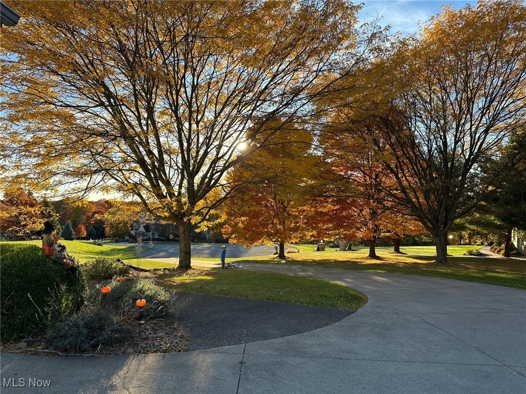 Wittmer Country Estates - Residential