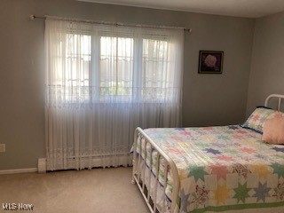 10312 Aspen Court, Elyria, Ohio image 19