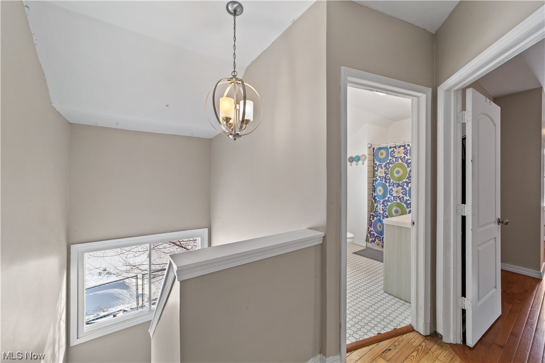 Benedict & Roots Allotment - Residential