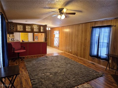 Tiny photo for 10039 State Route 700, LOT 59, Mantua, OH 44255 (MLS # 5179632)