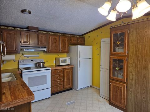 Tiny photo for 10039 State Route 700, LOT 59, Mantua, OH 44255 (MLS # 5179632)