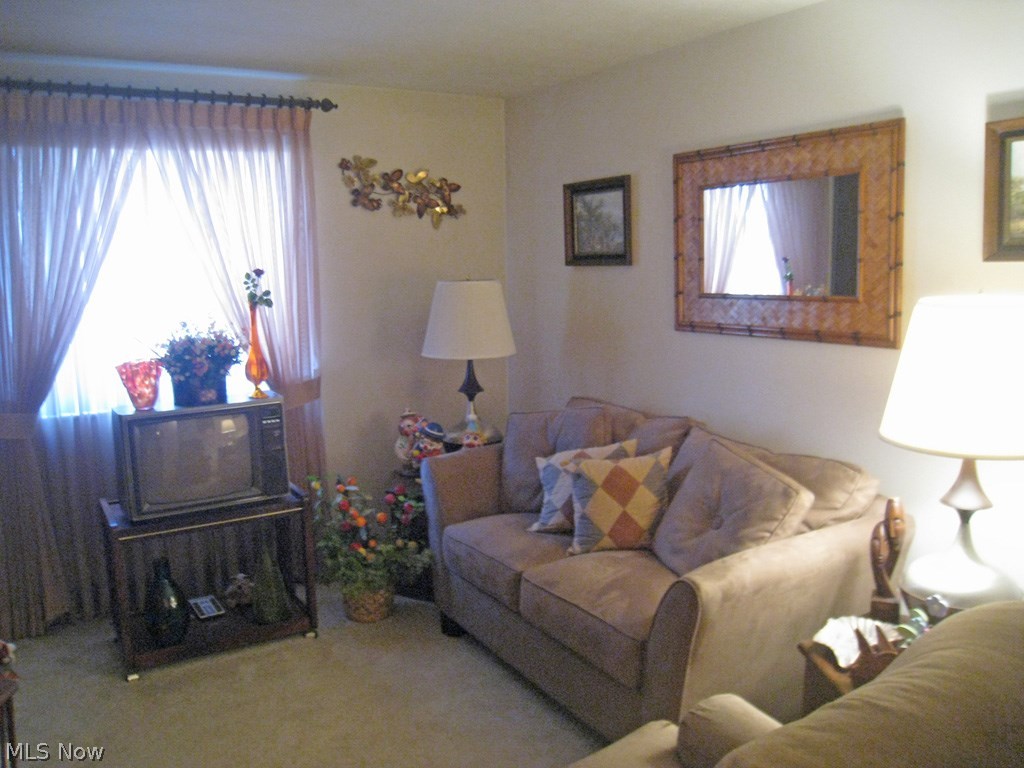 Pine Crest Condo - Residential